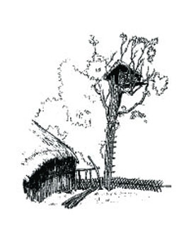 Image Image